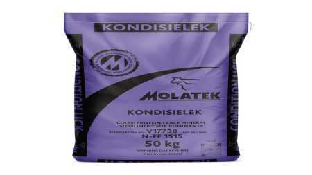 MOLATEK KONDISIELEK